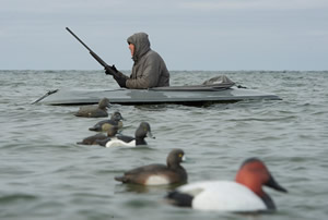 Duck hutning on the Bay of Green Bay WI